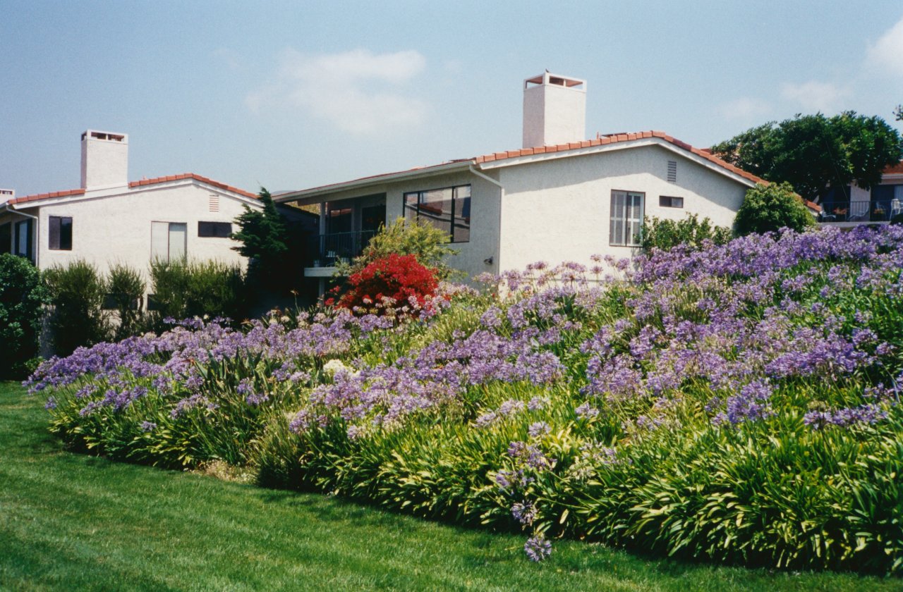 Buying condo in Malibu June 28 1996 3